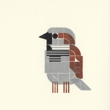 Stylized print of a bird with gray belly with white and black accents on its breast. Gray cap and tail, brown face and wings. Seen from the font, looking to the right.