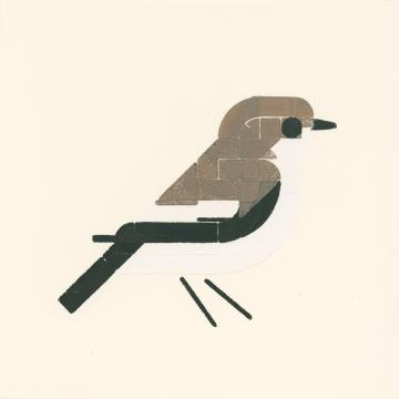 Stylized print of a black and white bird with grayis brown cap and back.