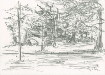 Pencil drawing of trees in a park.