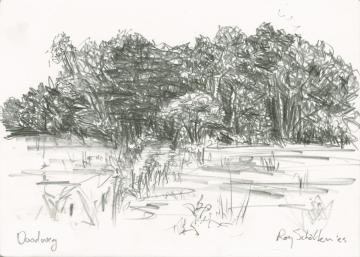 Pencil drawing of a landscape, a field with a path leading into the woods.