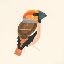 Print of a bird with very heavy beak, orange head, brown back and black wing tpis.