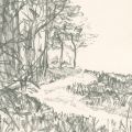 Pencil drawing of a path winding upwards in nature.