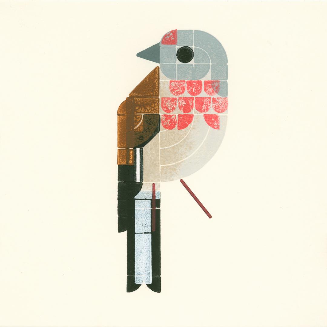 Bird print. Grey head, brown back, black and white wingtips and tail. Light gray brown belly with pinkish red accents.